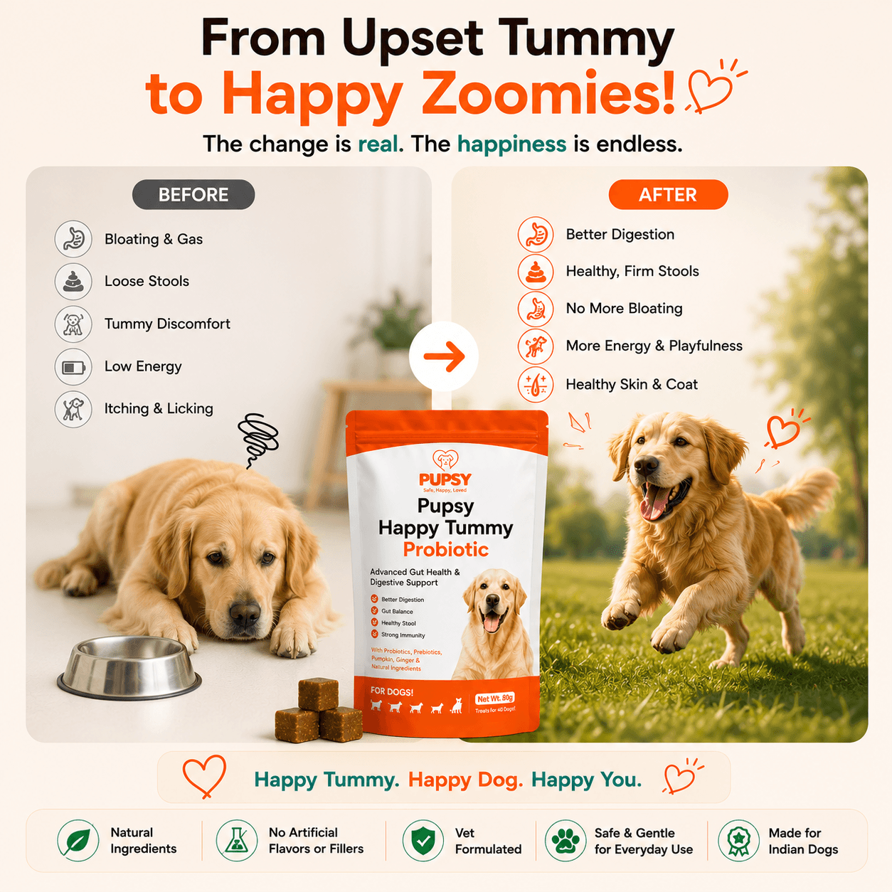Pupsy Happy Tummy Probiotic view 2