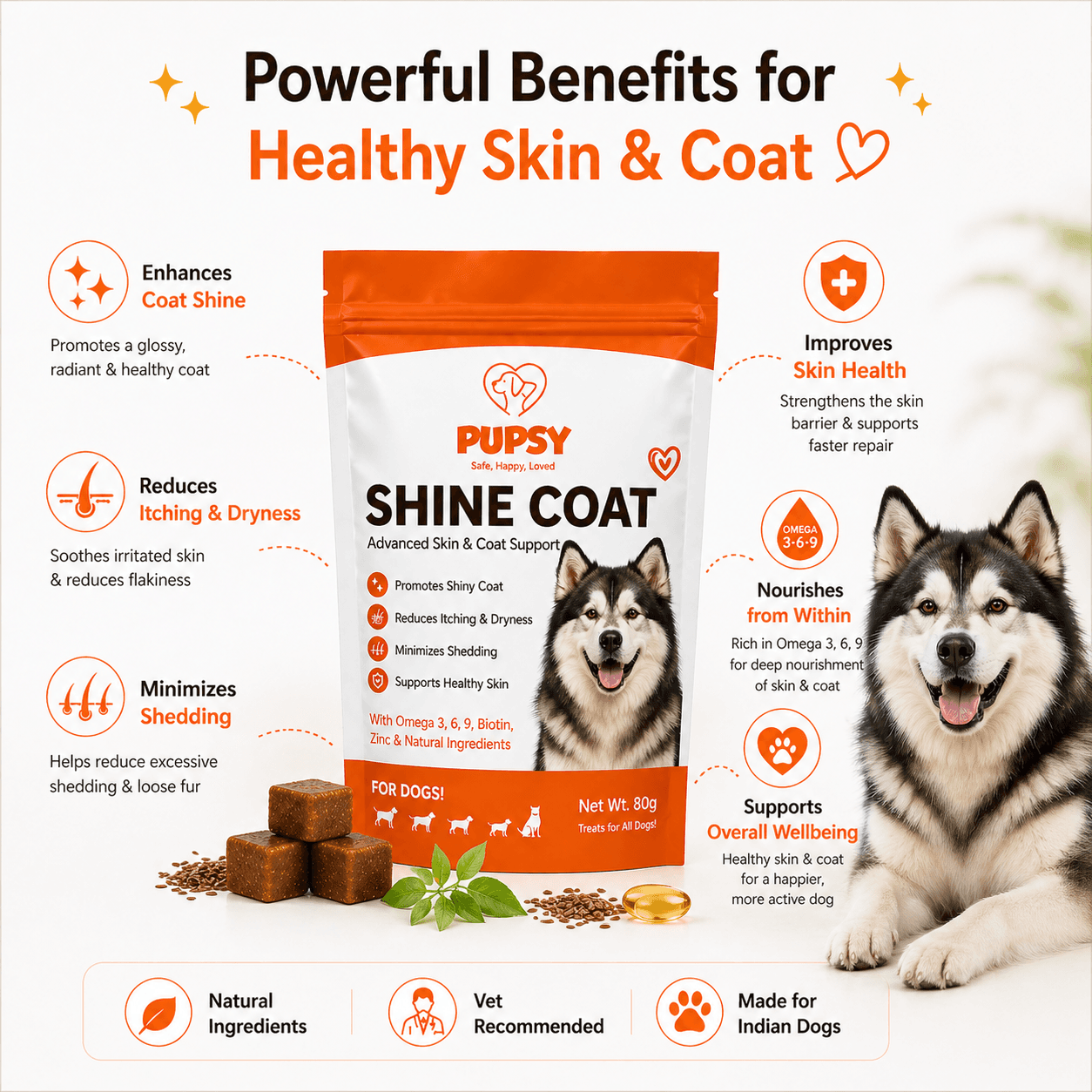 Shine Coat view 3