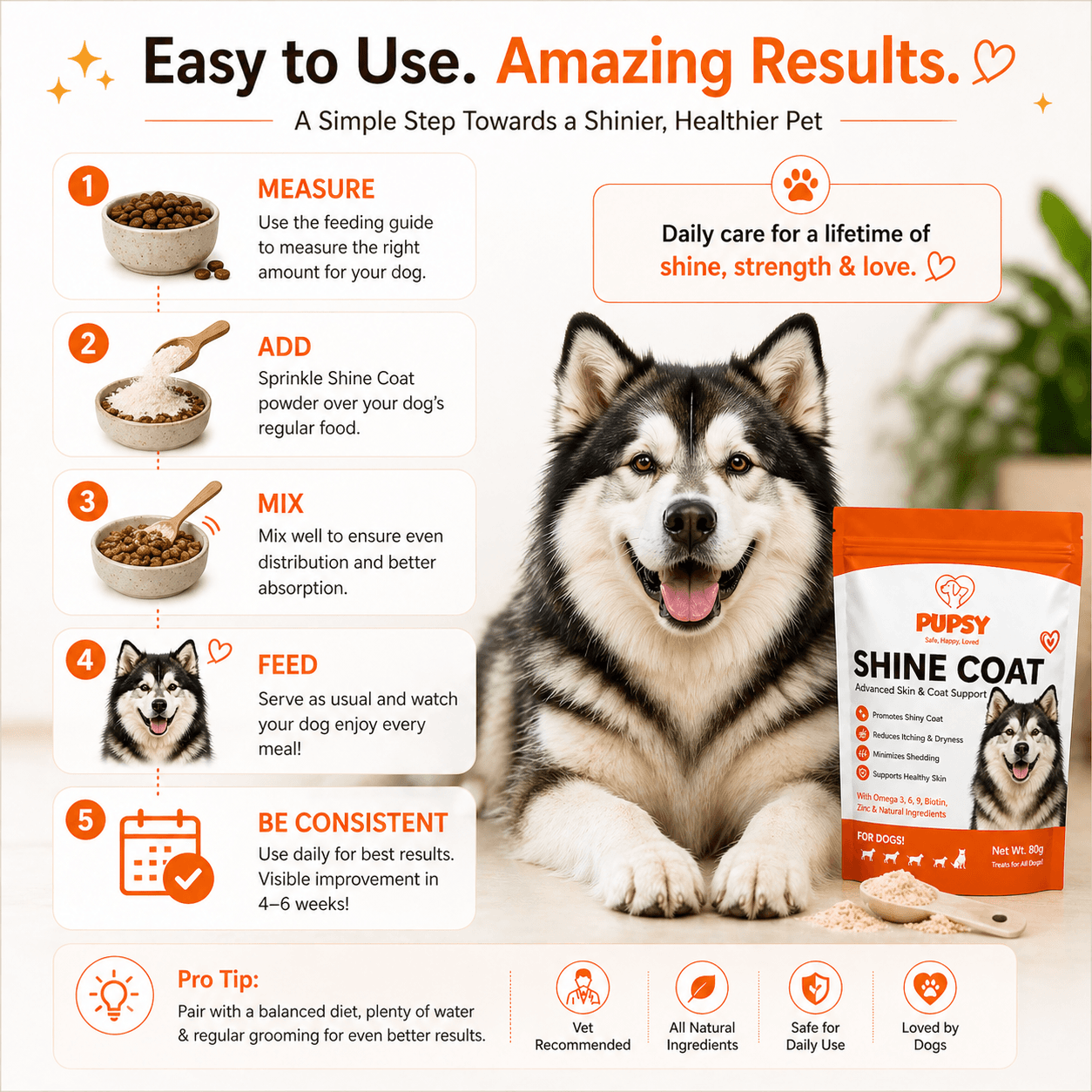 Shine Coat view 5