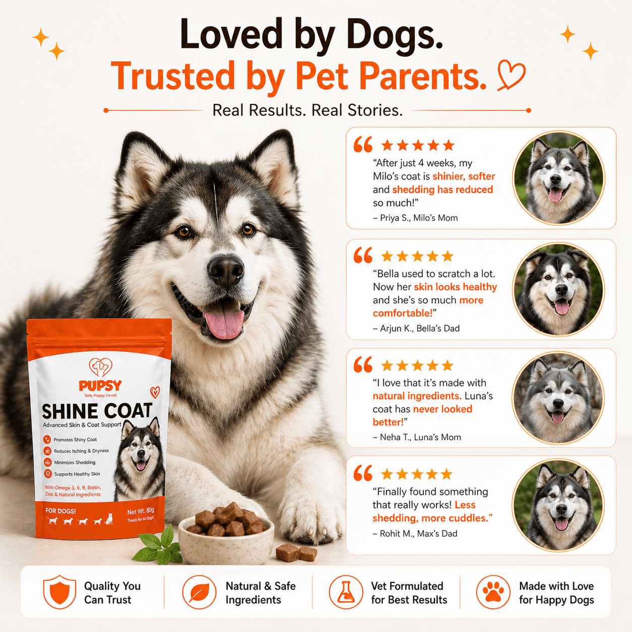 Shine Coat view 6